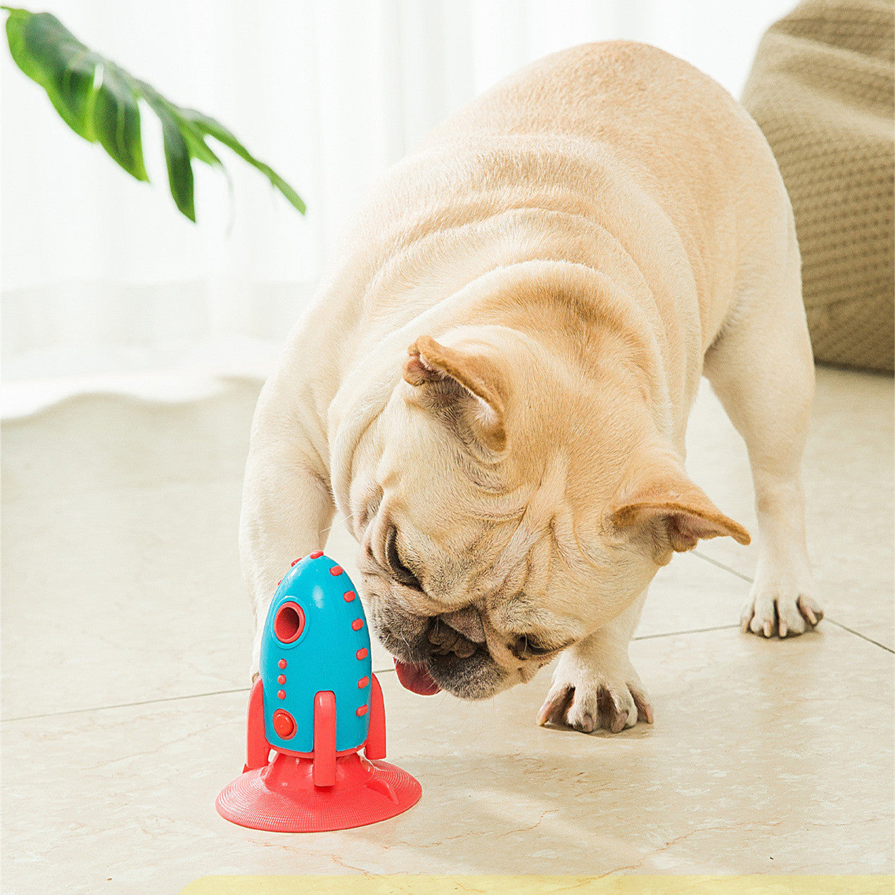 Jouet Rocket pour Chien – Divertissement, stimulation et robustesse
